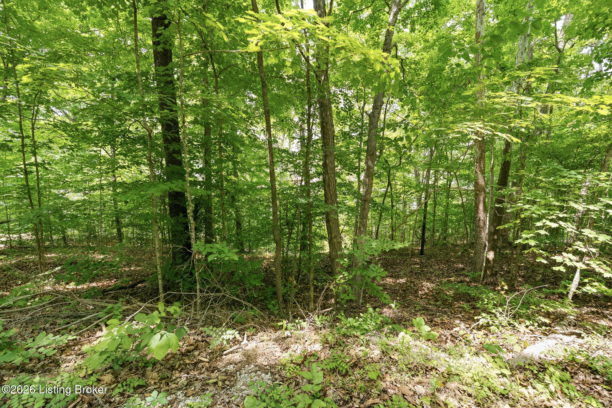 20 Twin Oaks Dr Property Photo 8