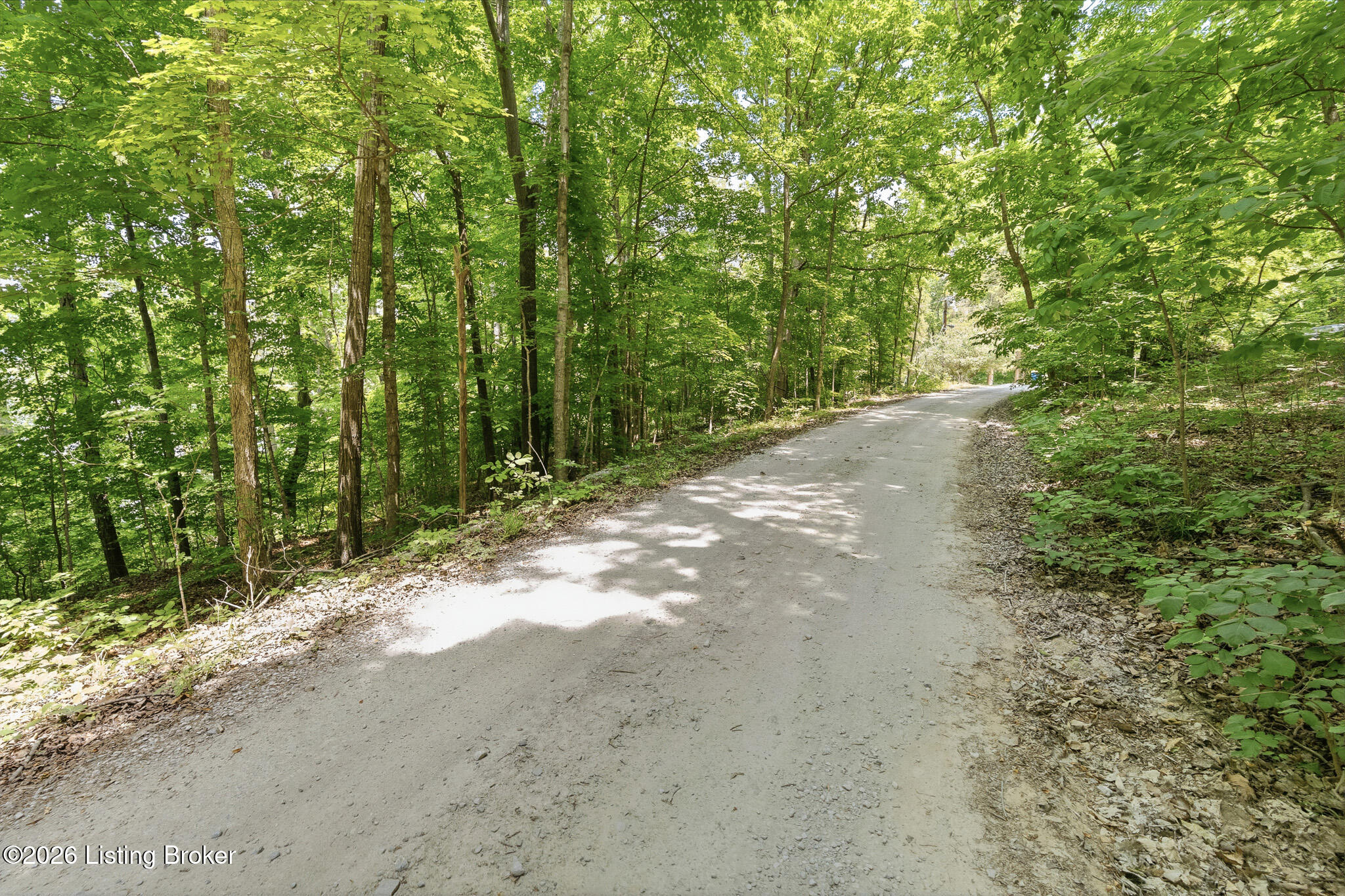 20 Twin Oaks Dr Property Photo 12