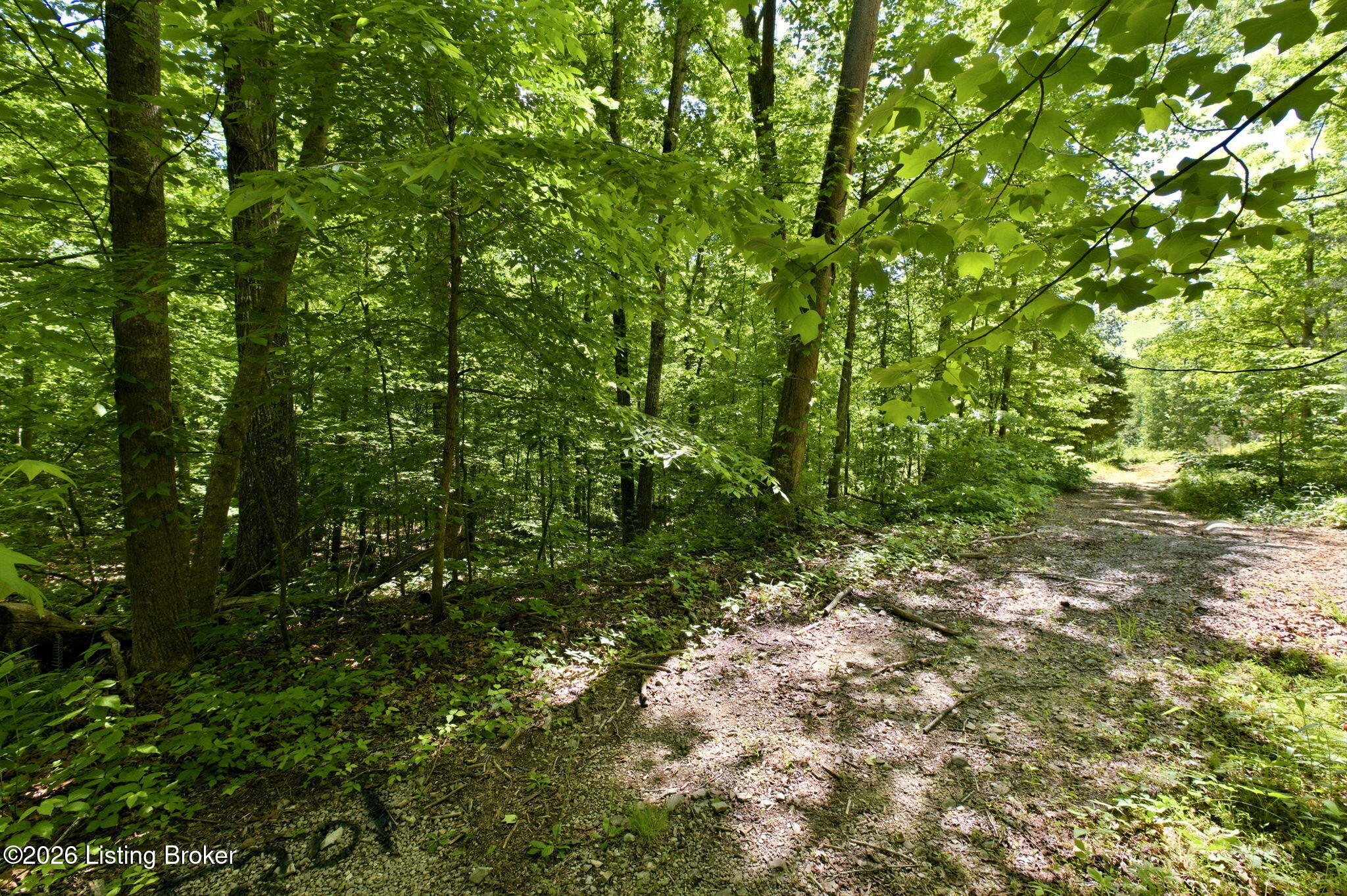 2 Ambassador Shores Dr Property Photo 1