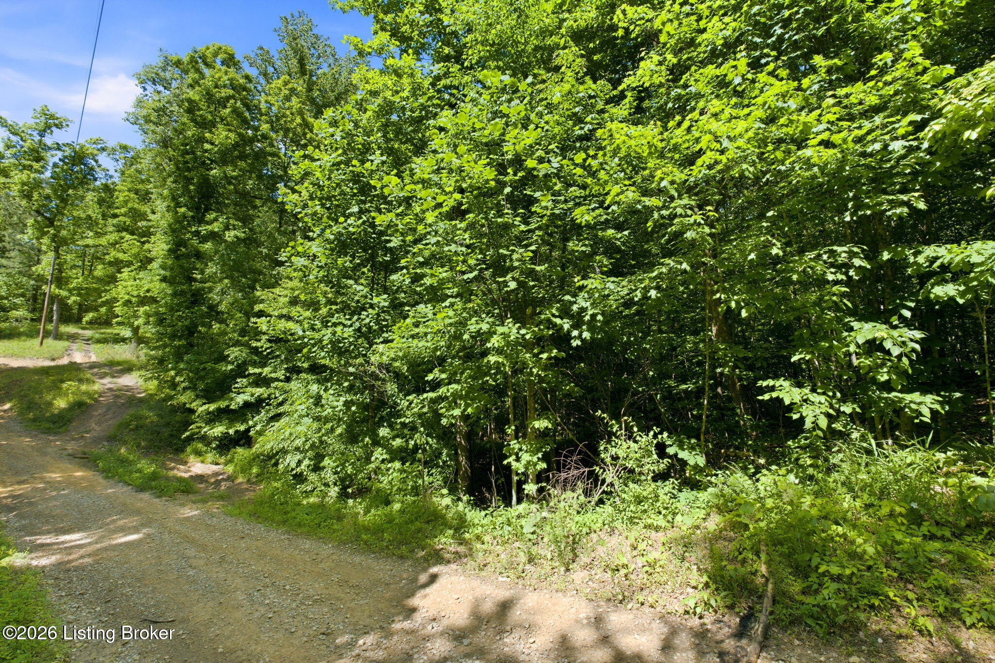 2 Ambassador Shores Dr Property Photo 6