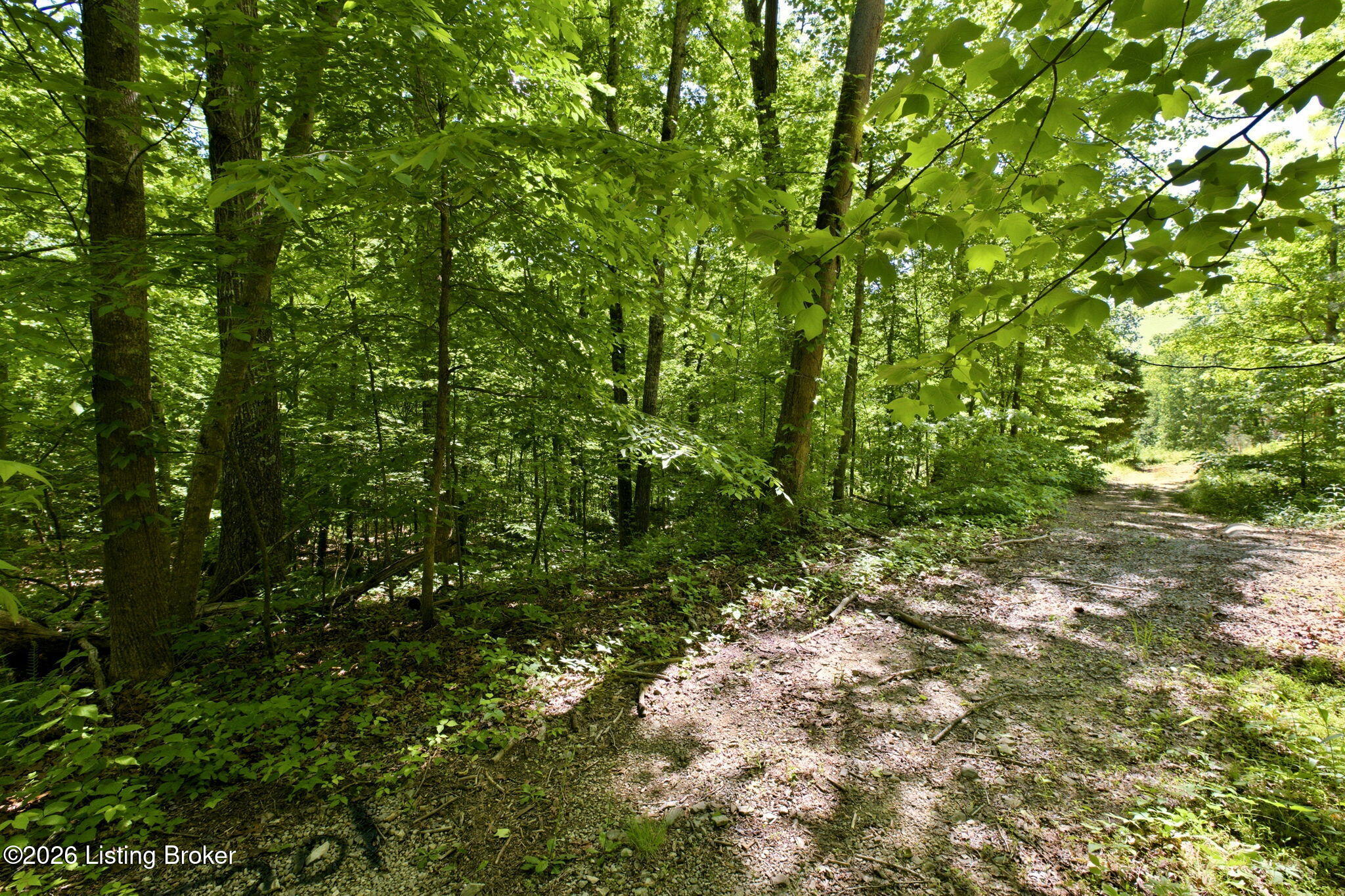 2 Ambassador Shores Dr Property Photo 11