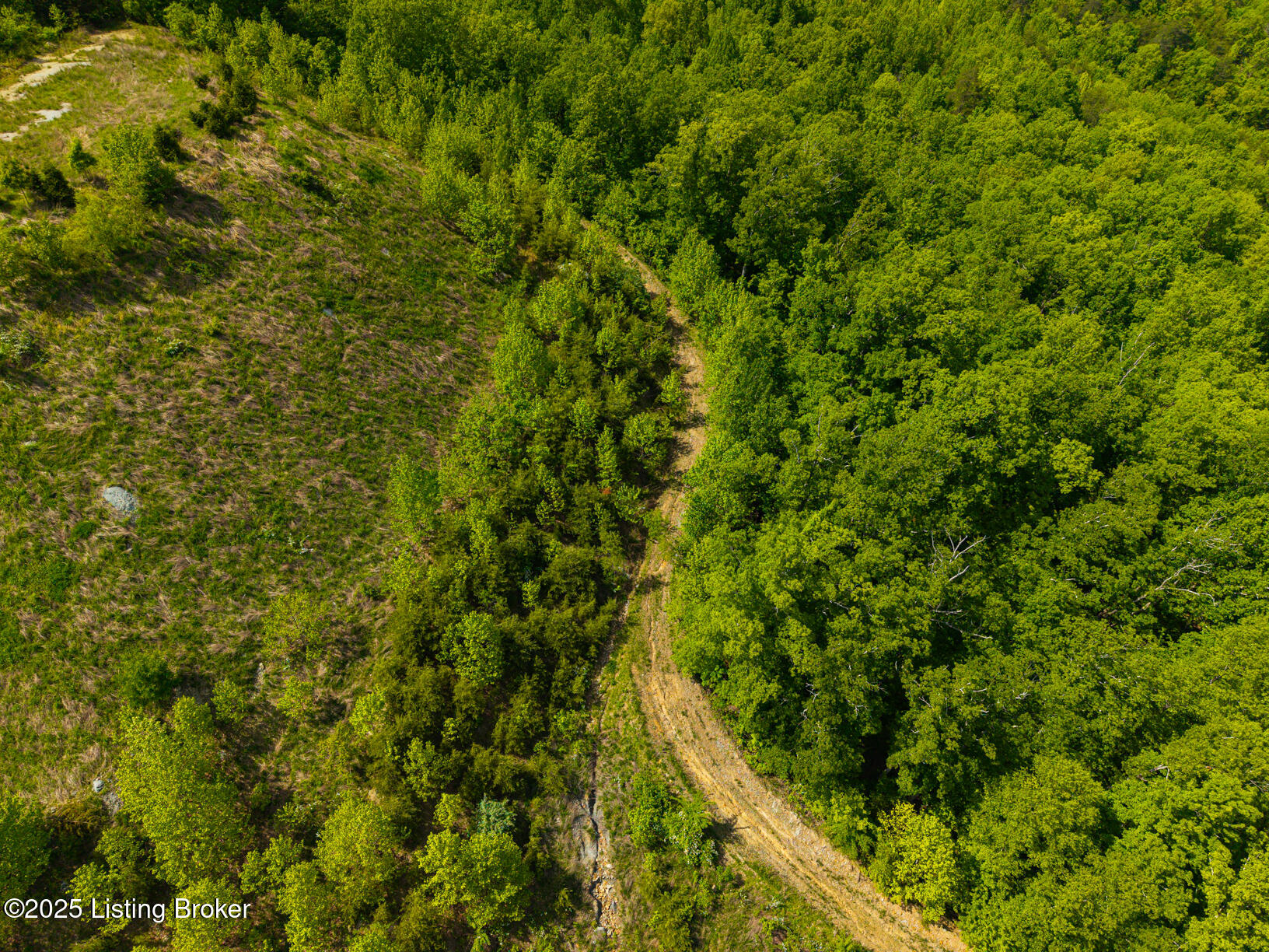 0 Horsefly Hollow Rd Property Photo 7