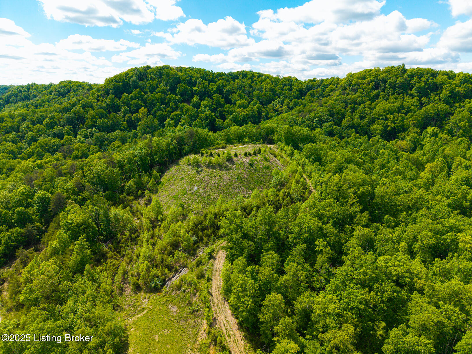 0 Horsefly Hollow Rd Property Photo 9