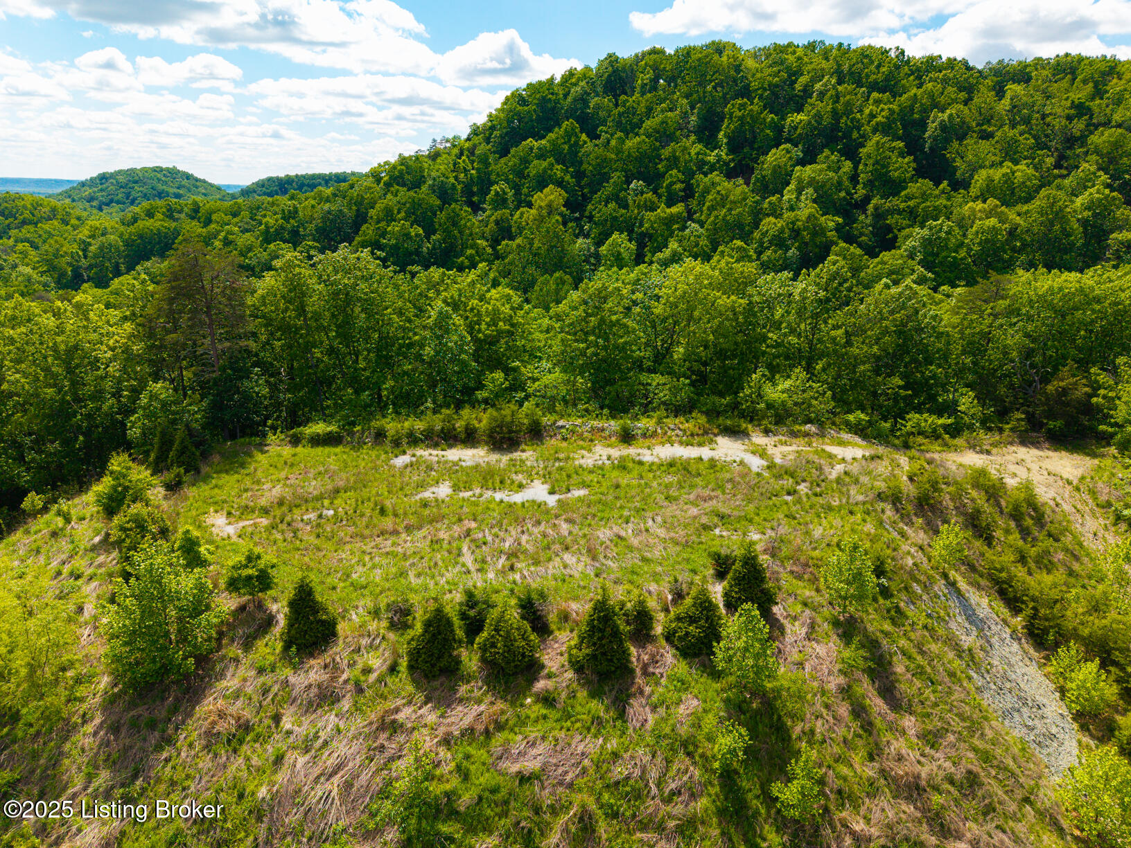 0 Horsefly Hollow Rd Property Photo 13