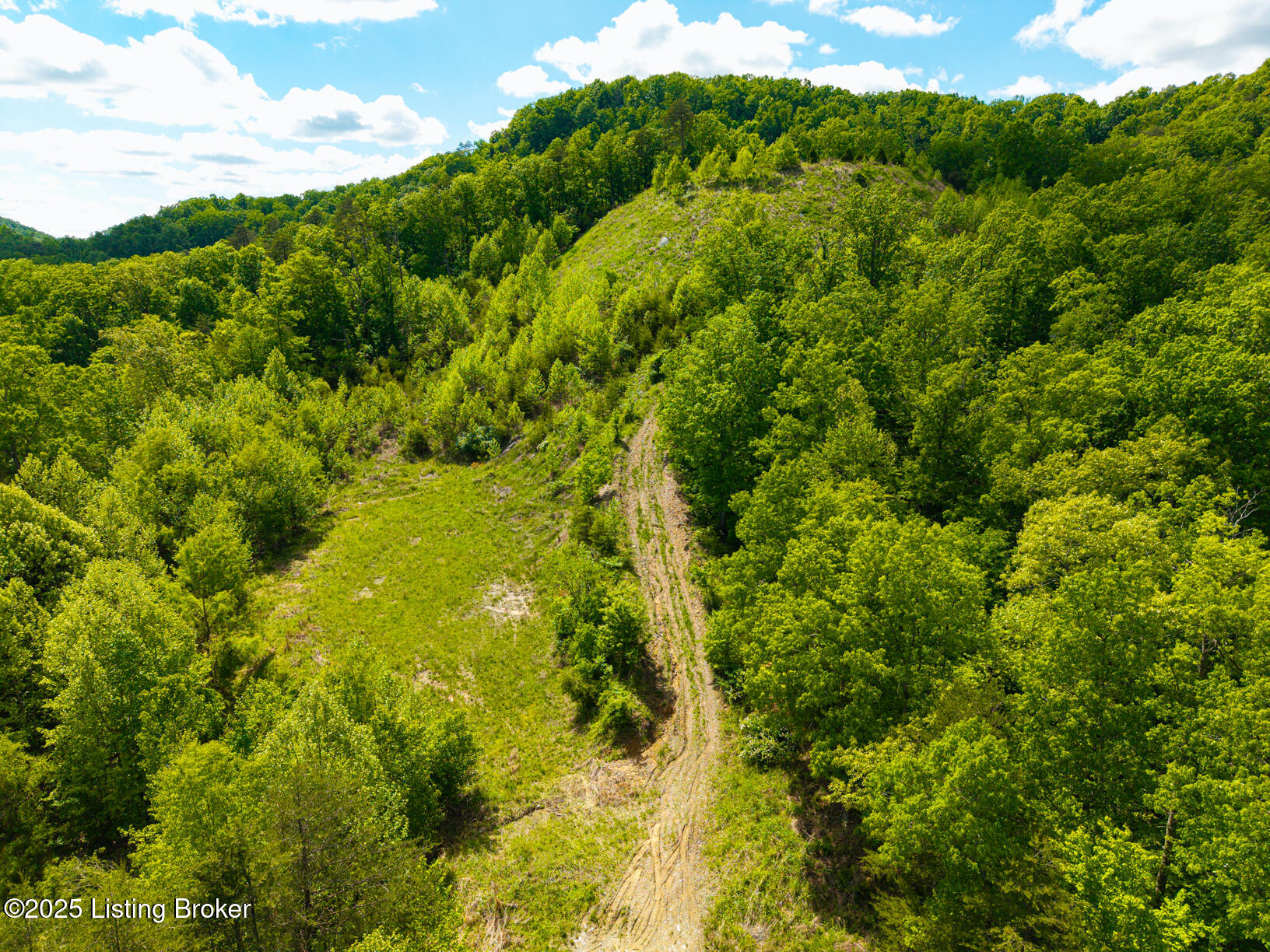 0 Horsefly Hollow Rd Property Photo 14