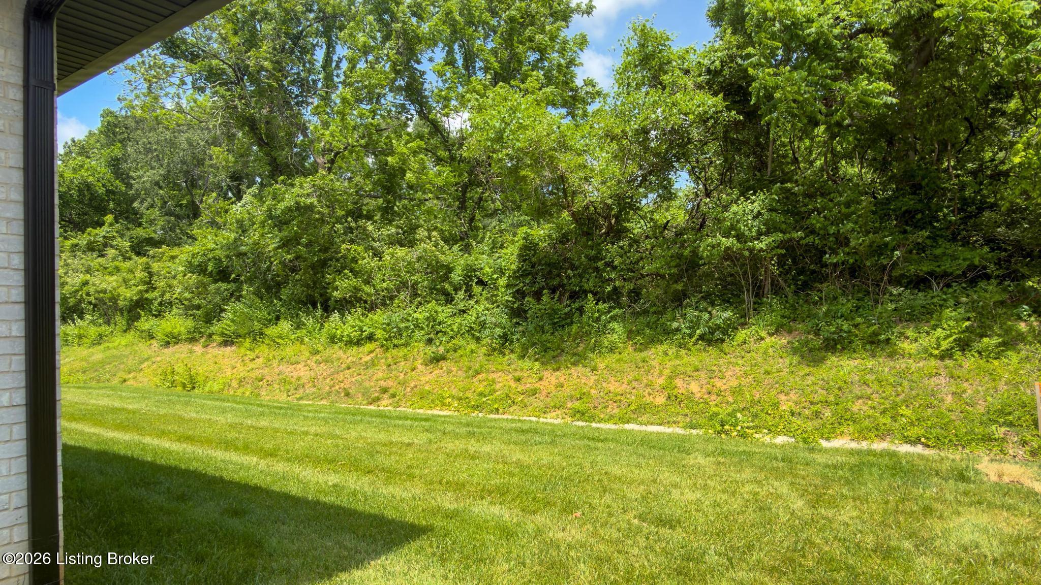 4007 Thomas Farm Dr Property Photo 57