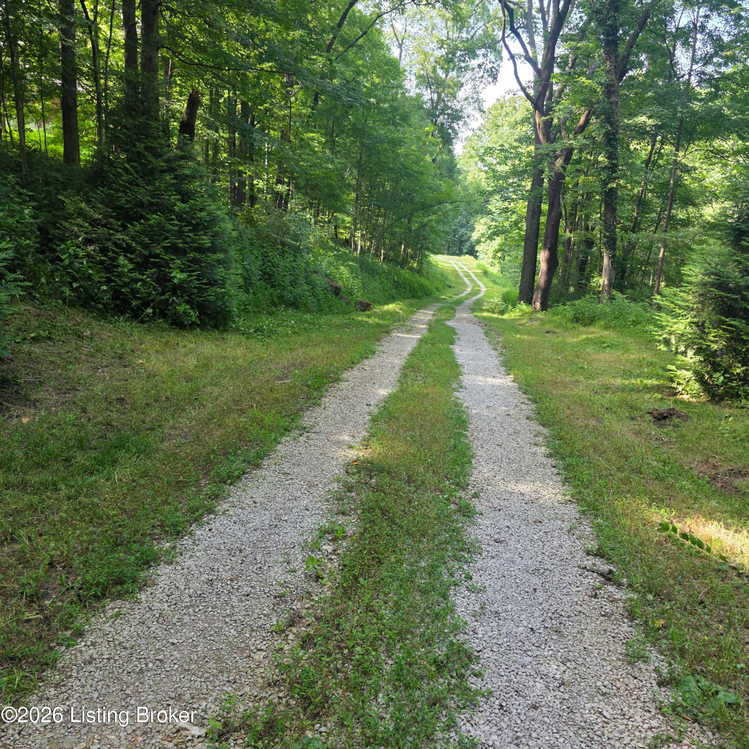 7909 Barbour Manor Dr Property Photo 3