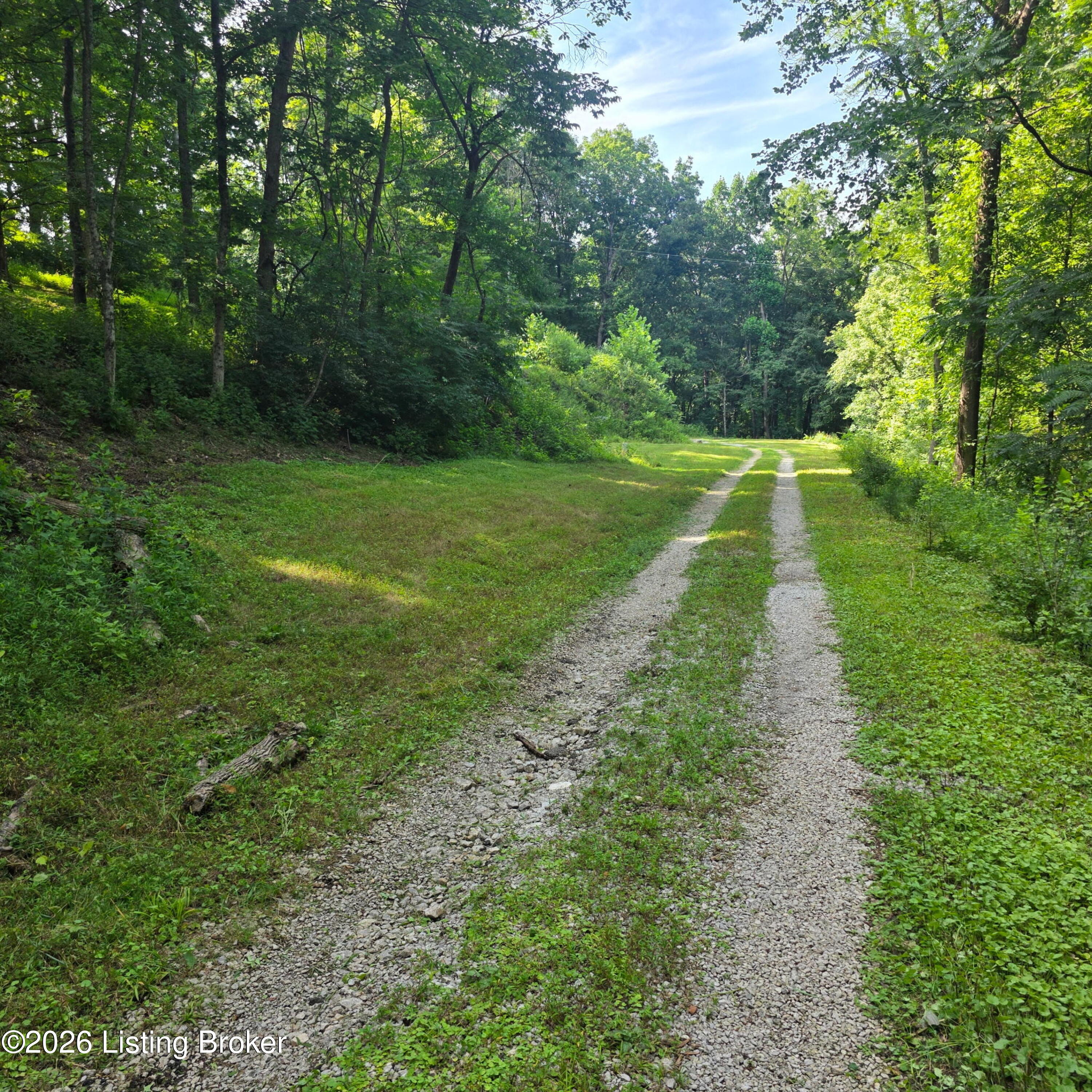 7909 Barbour Manor Dr Property Photo 4