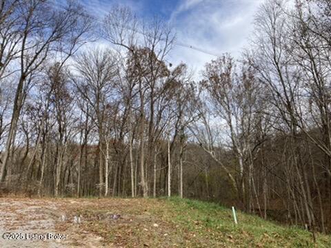 7909 Barbour Manor Dr Property Photo 10