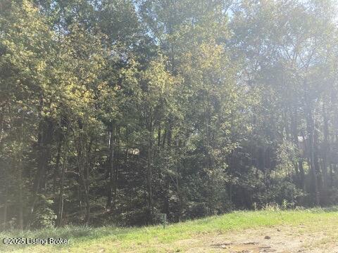 7909 Barbour Manor Dr Property Photo 11