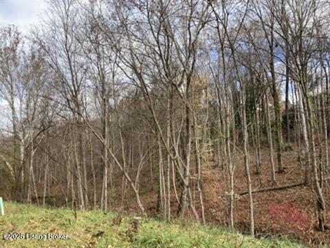 7909 Barbour Manor Dr Property Photo 12