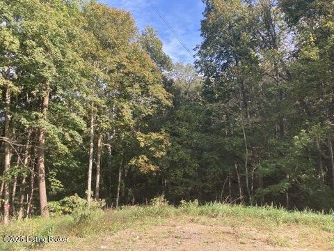7909 Barbour Manor Dr Property Photo 13