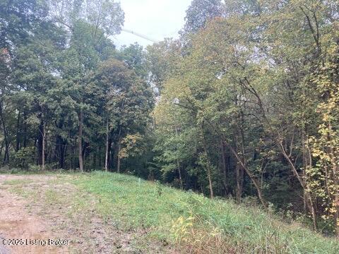 7909 Barbour Manor Dr Property Photo 14