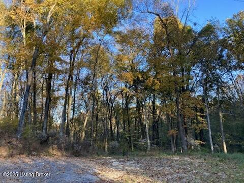 7909 Barbour Manor Dr Property Photo 16