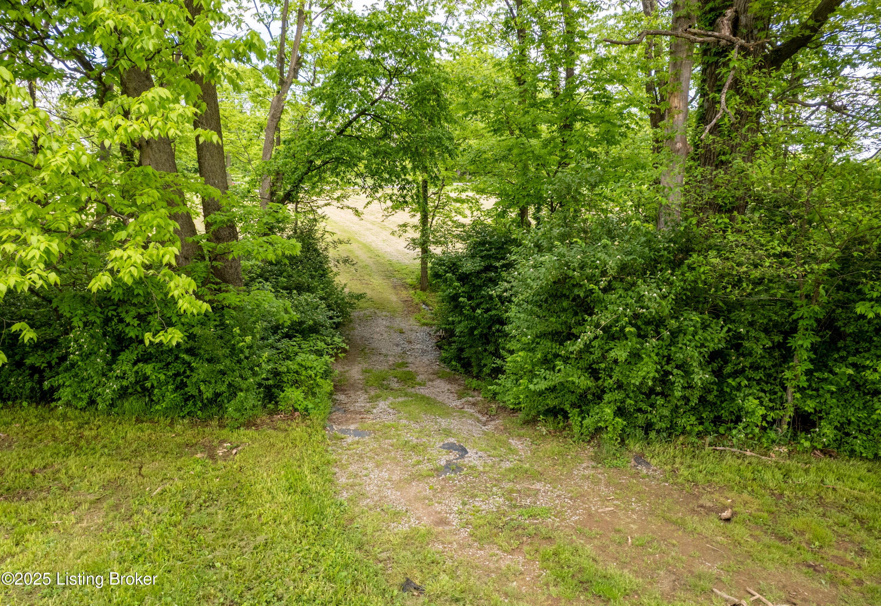 439 Clear Creek Rd Property Photo 4