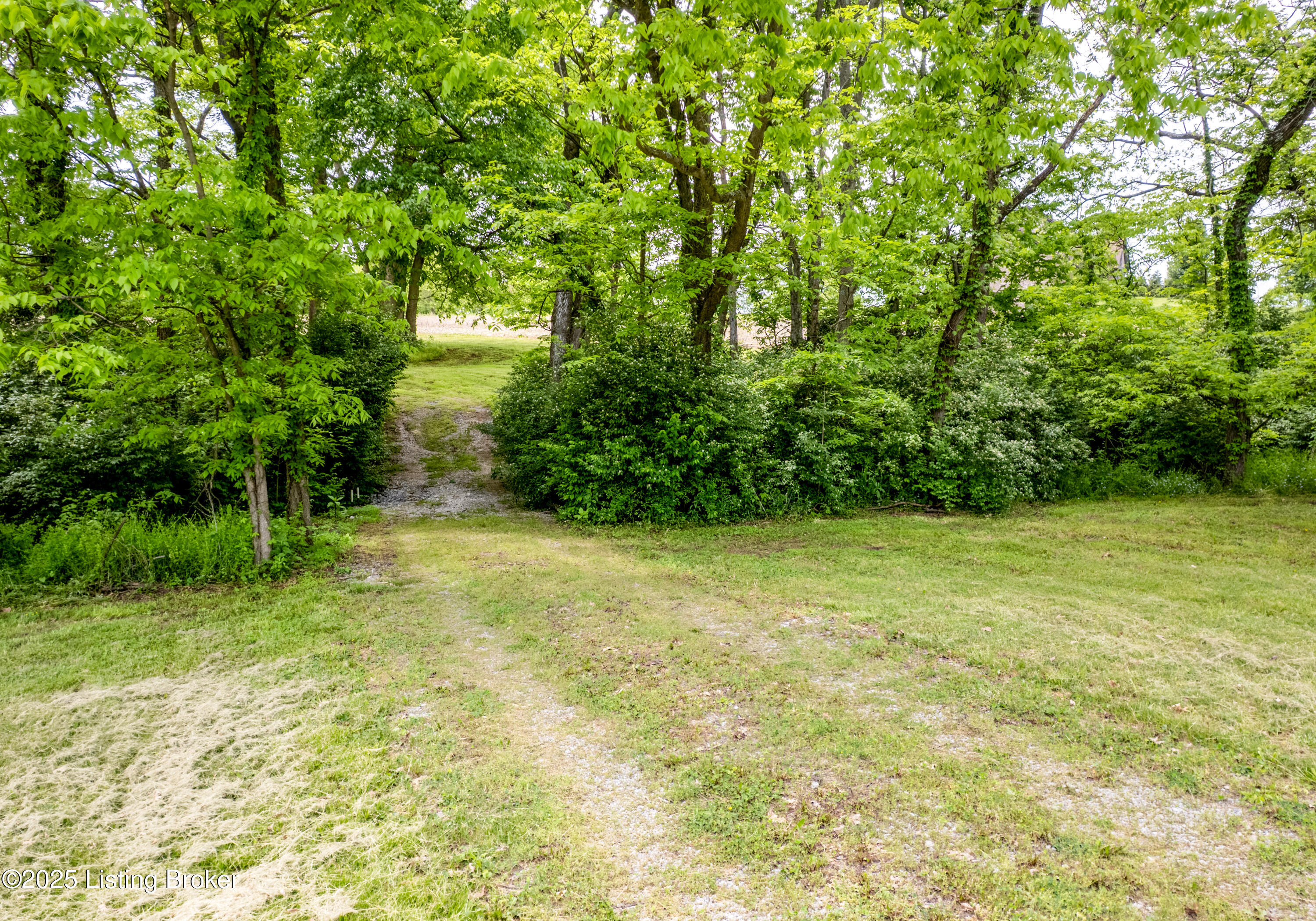 439 Clear Creek Rd Property Photo 11