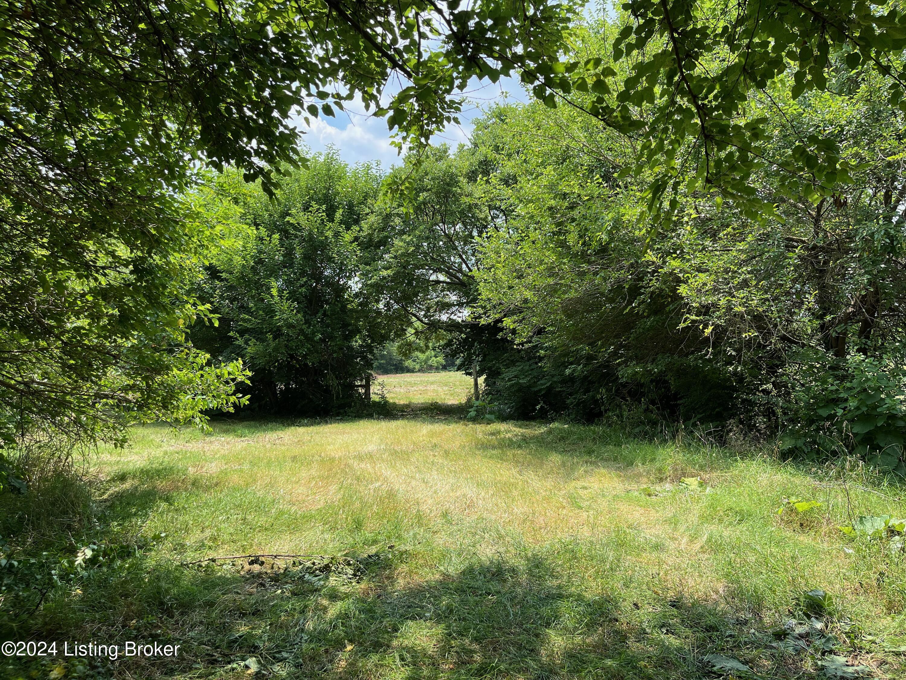 5406 Cooper Chapel Rd Property Photo 17