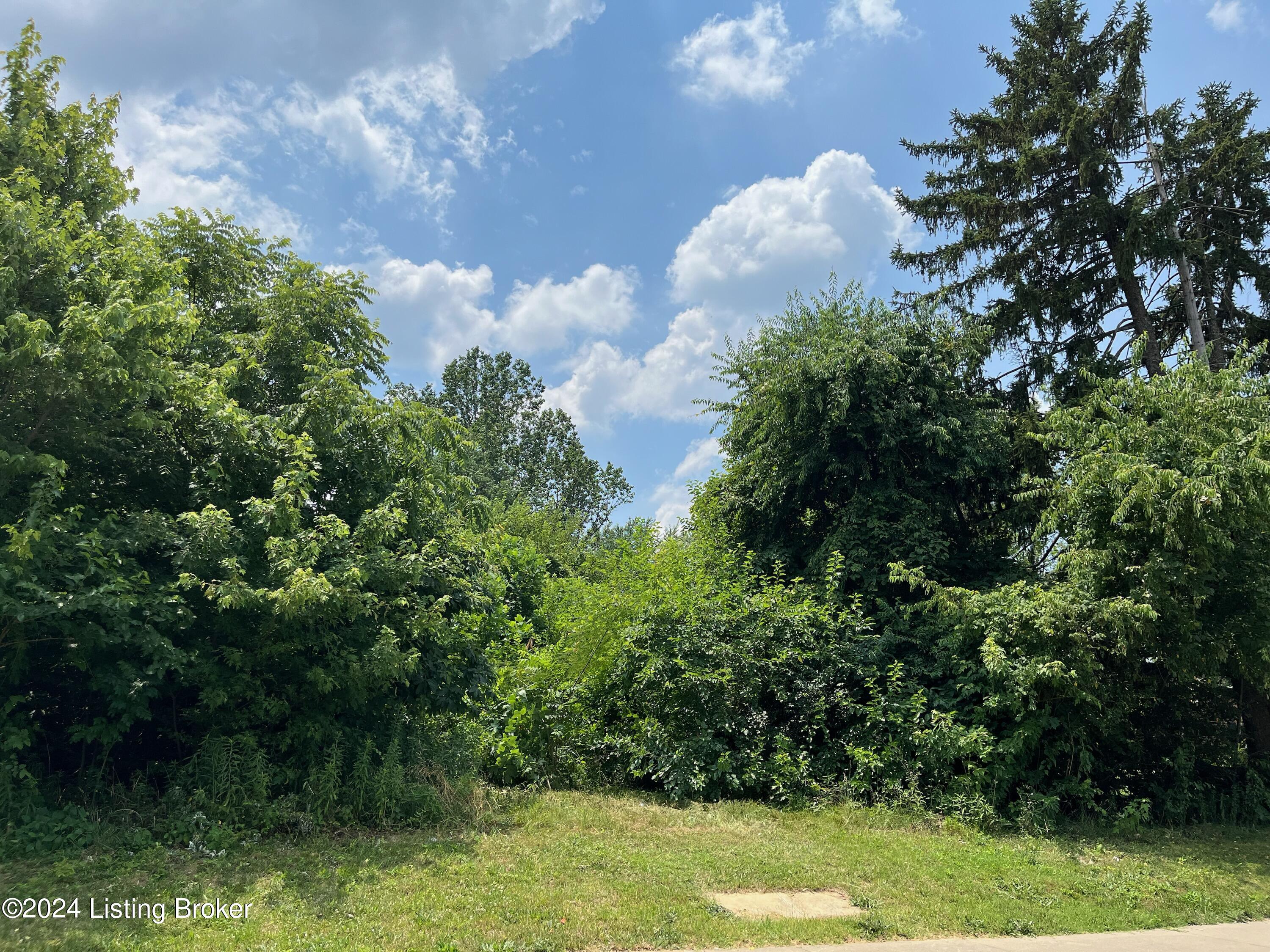 5406 Cooper Chapel Rd Property Photo 18