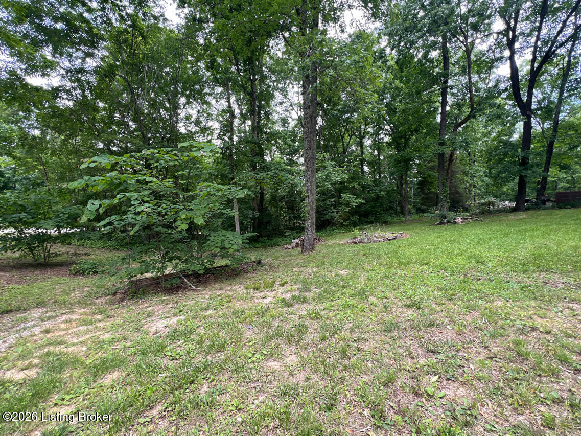 105 Tulip Ln Property Photo 23