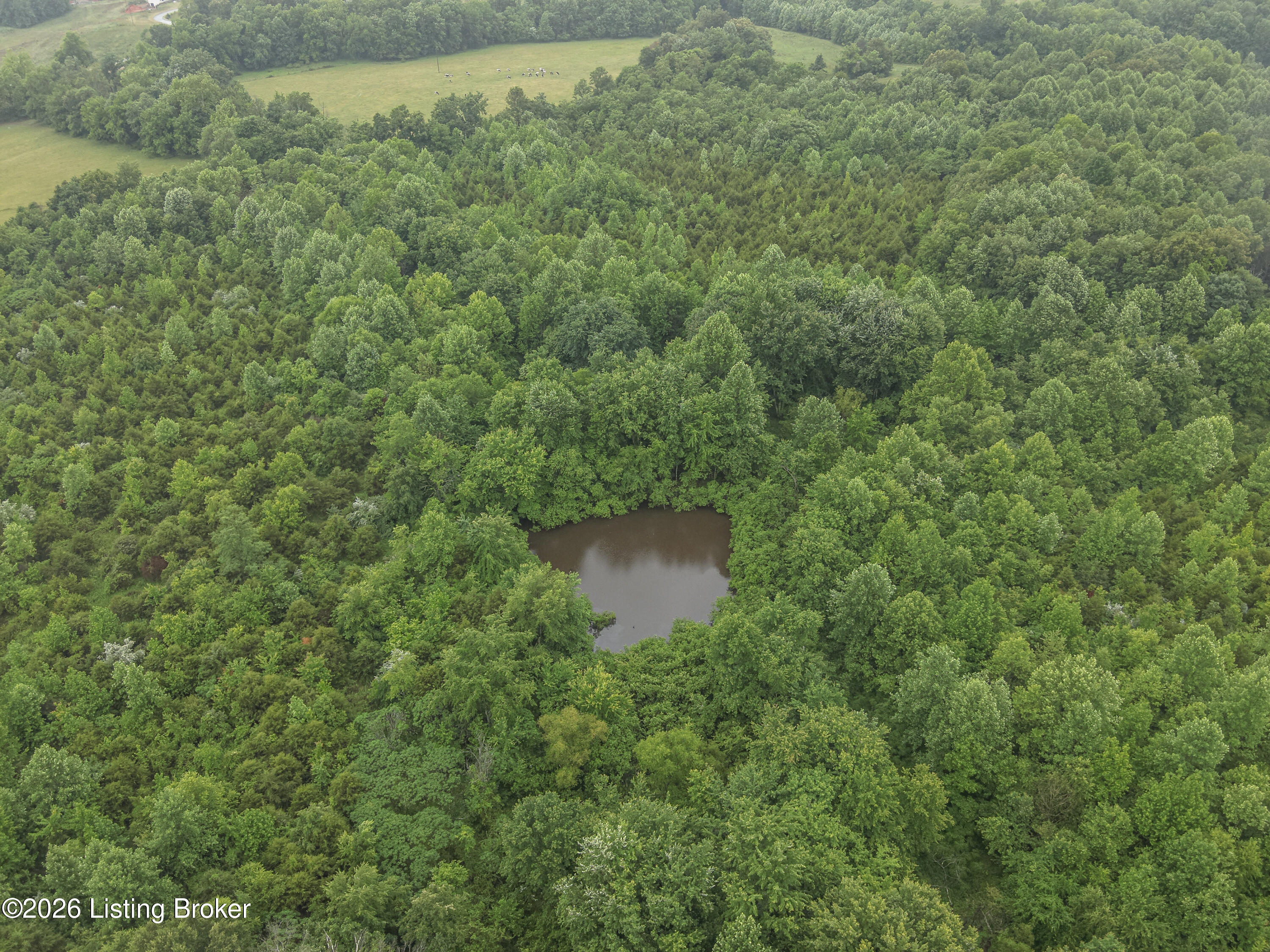 531 Hickory Grove Rd Property Photo 4