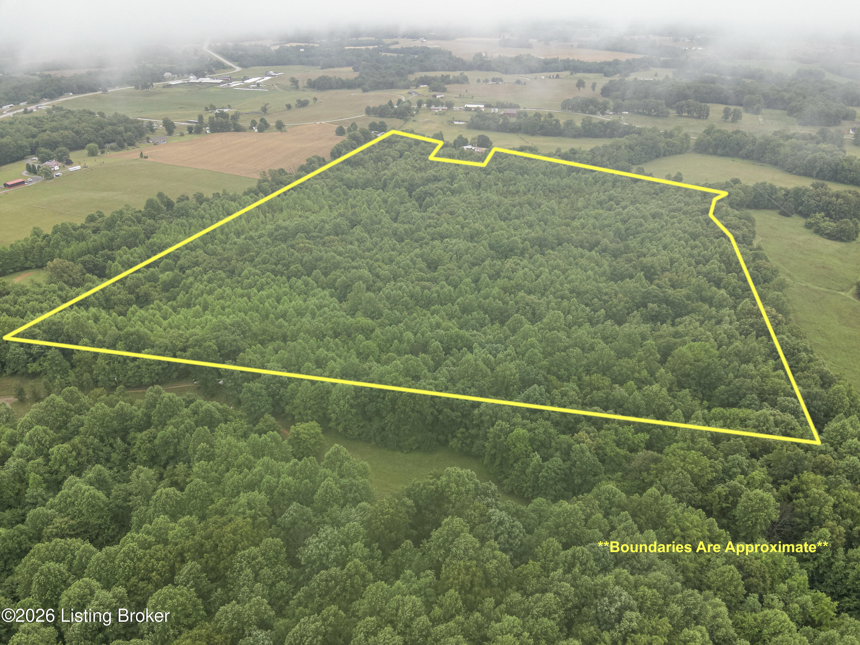 531 Hickory Grove Rd Property Photo 8