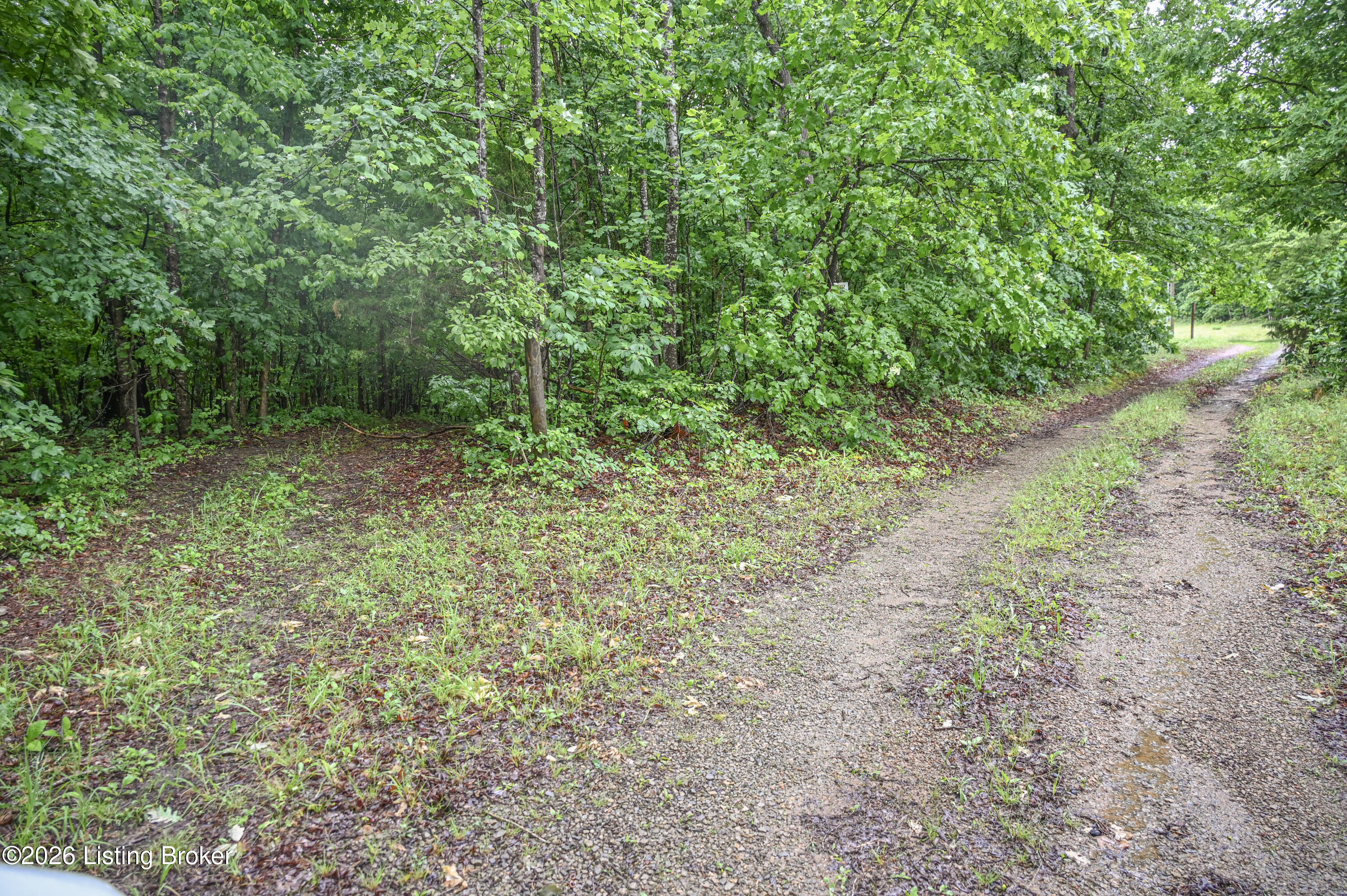 531 Hickory Grove Rd Property Photo 9