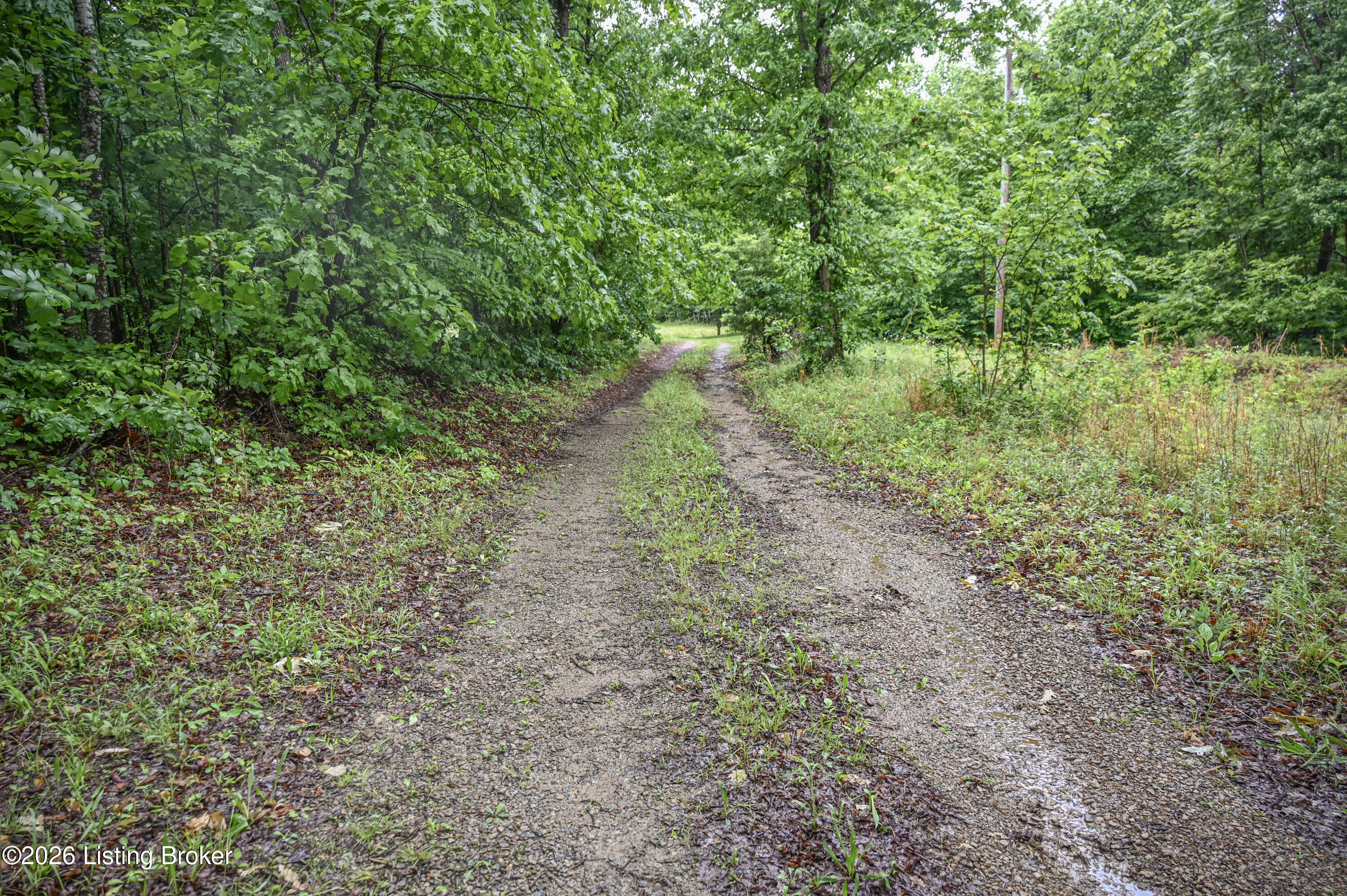 531 Hickory Grove Rd Property Photo 11