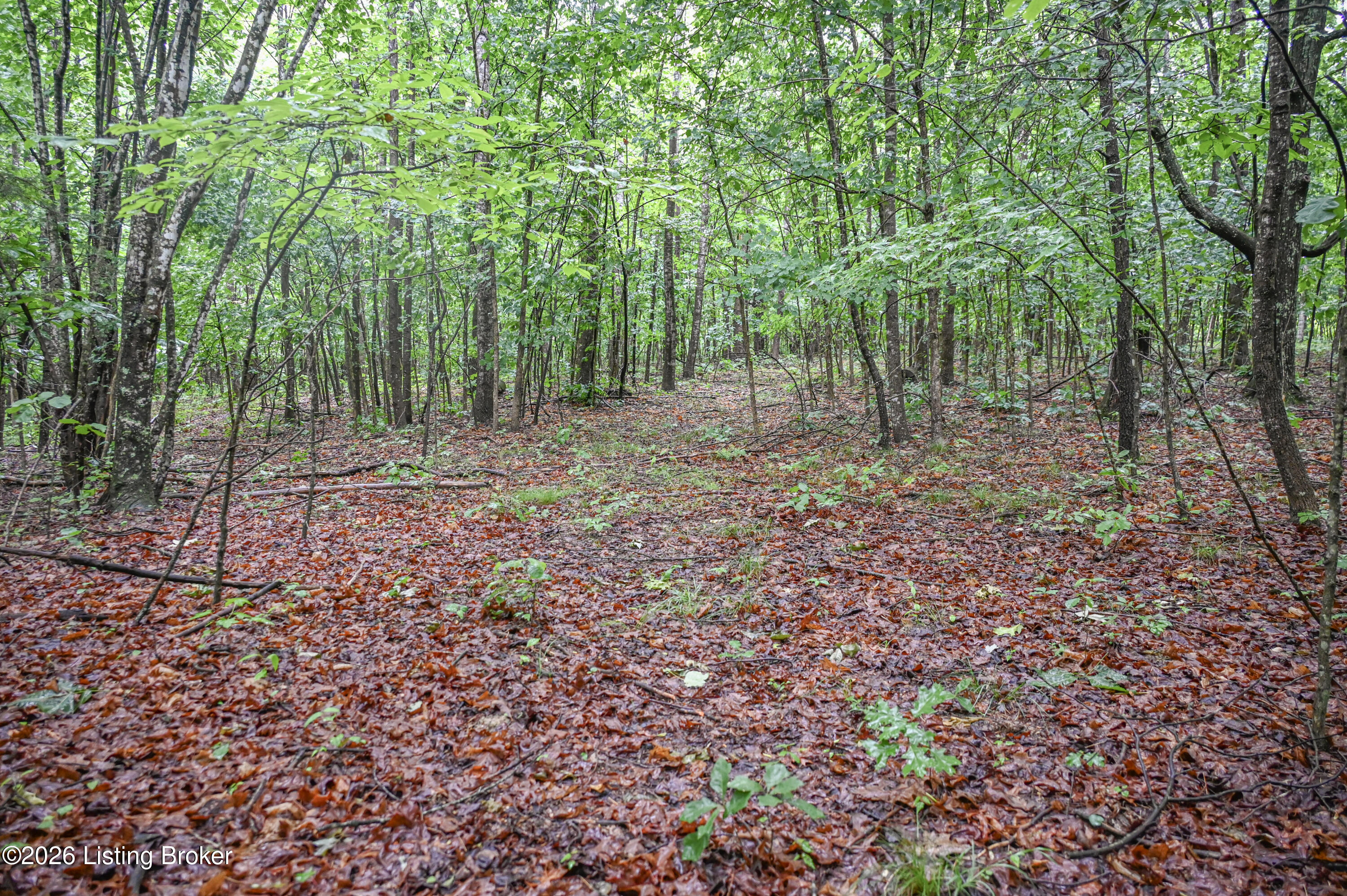 531 Hickory Grove Rd Property Photo 13