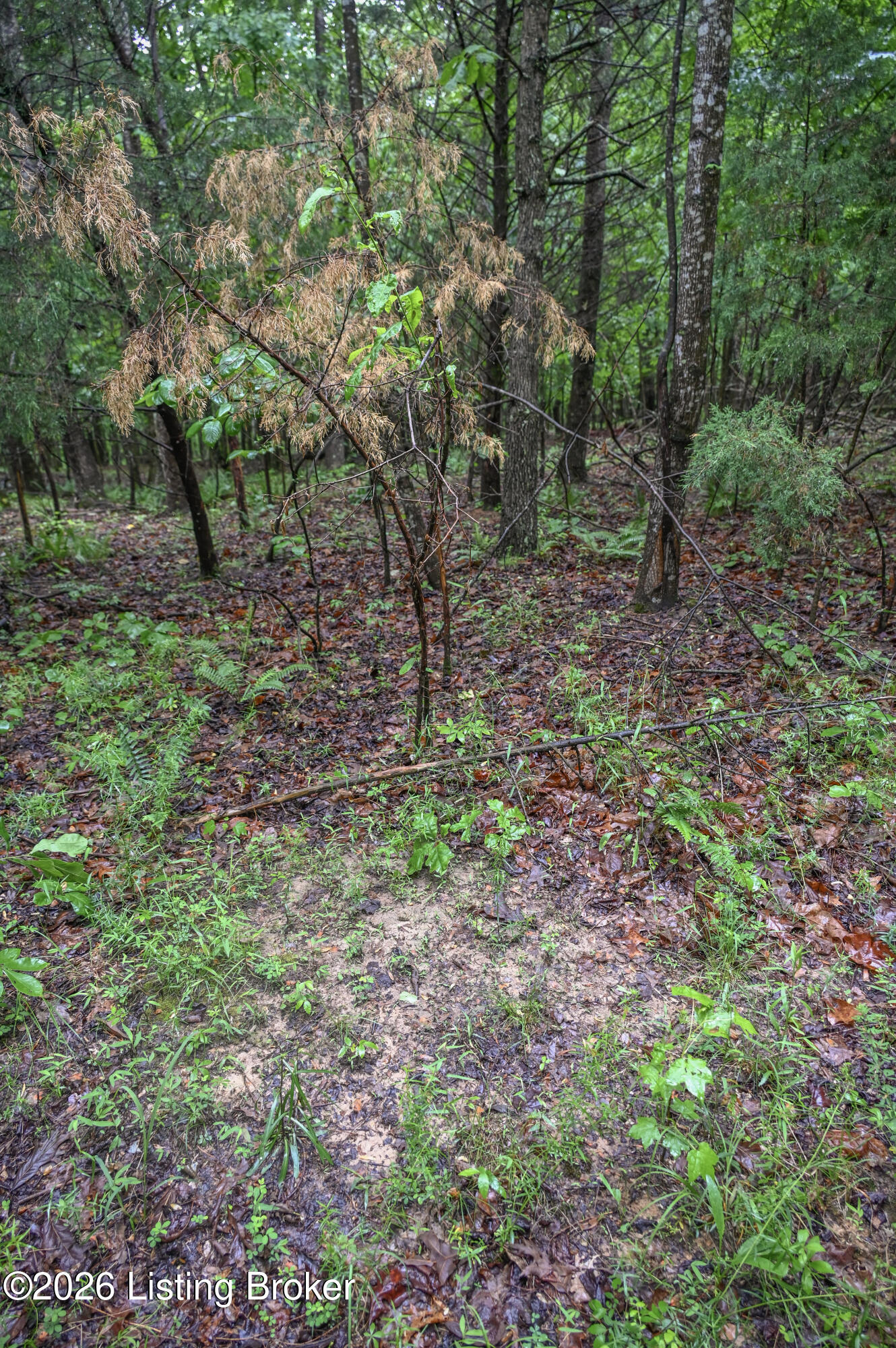 531 Hickory Grove Rd Property Photo 17