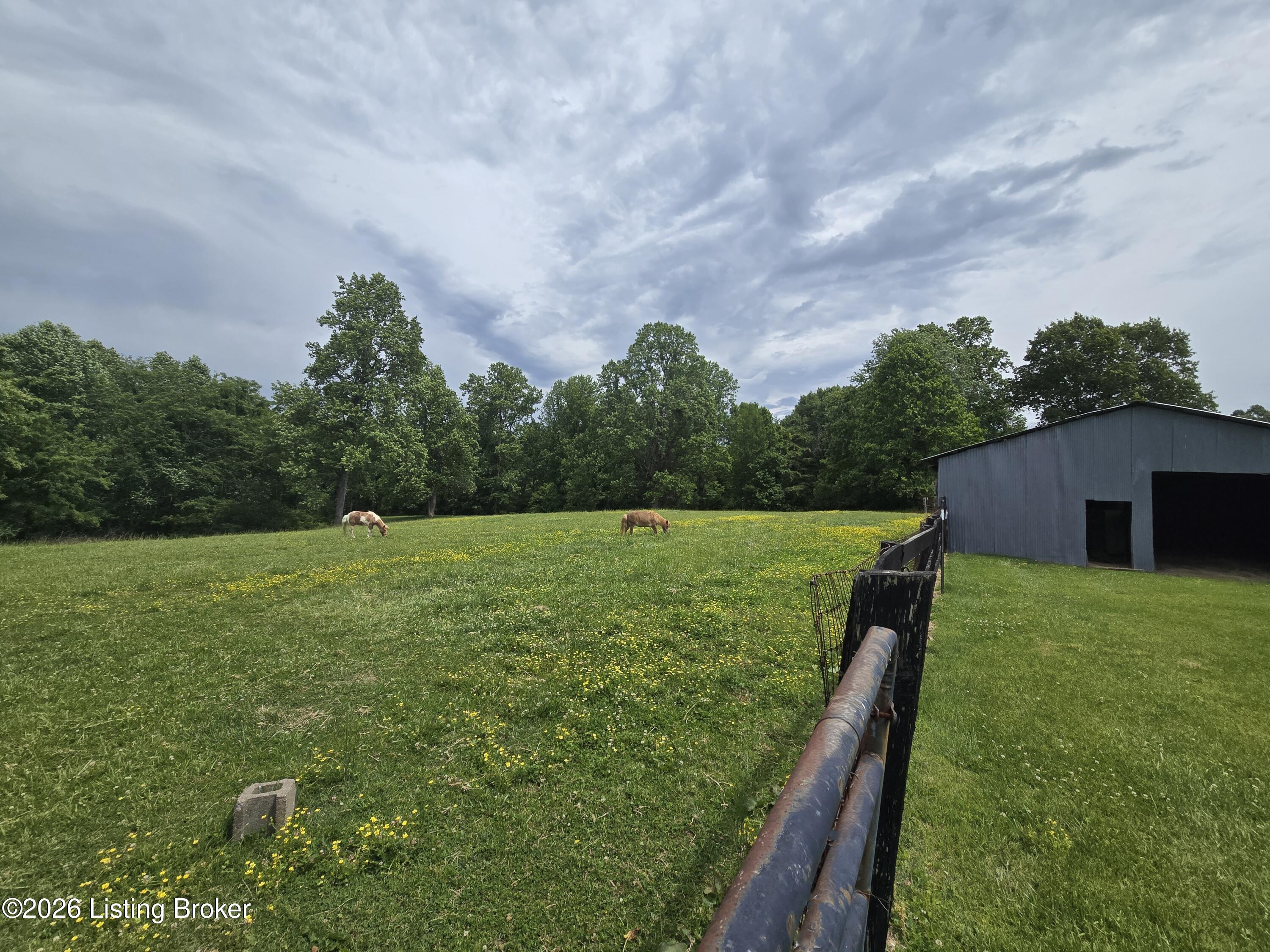 2954 Brooks Hill Rd Property Photo 45