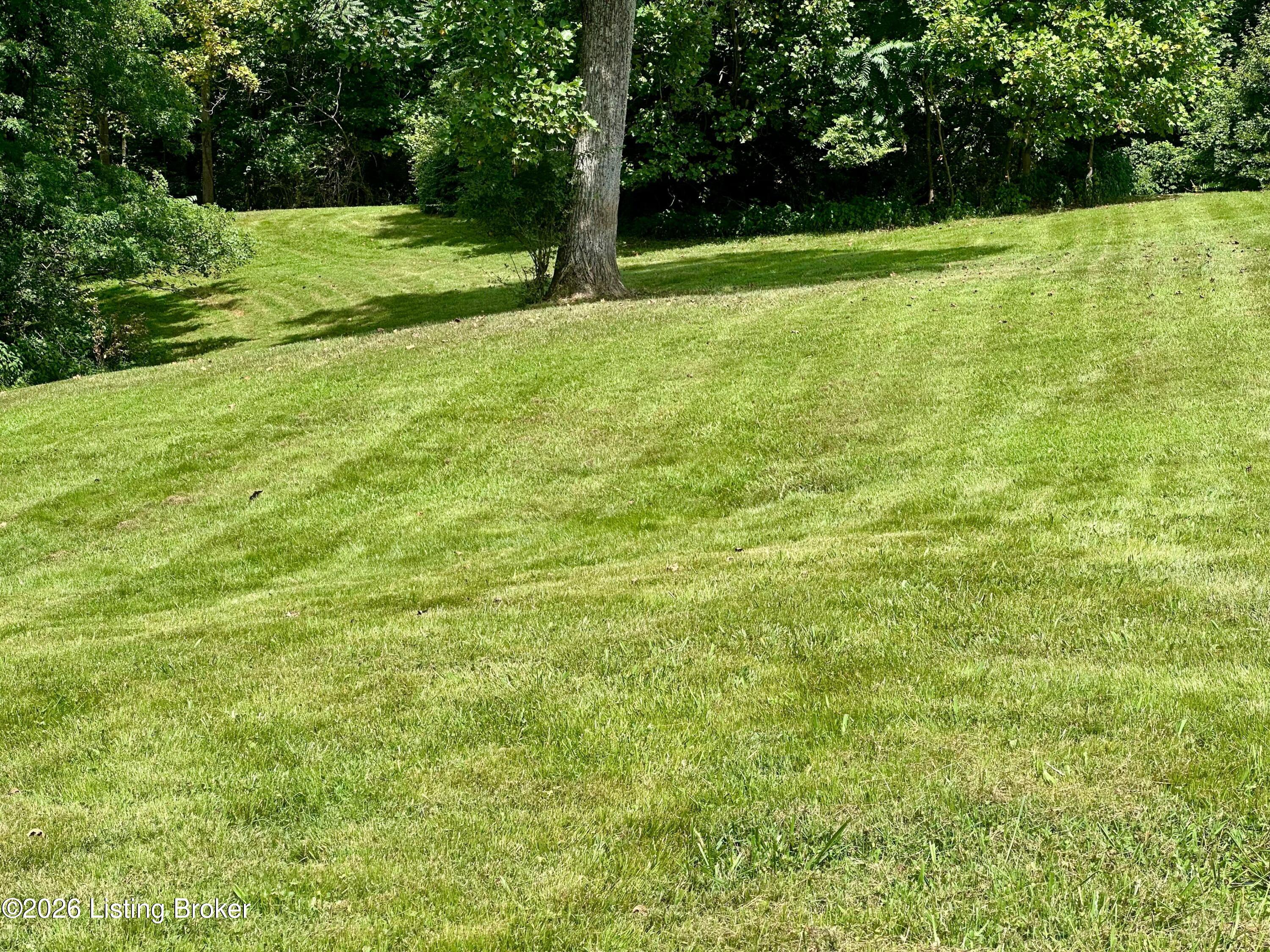 2954 Brooks Hill Rd Property Photo 46