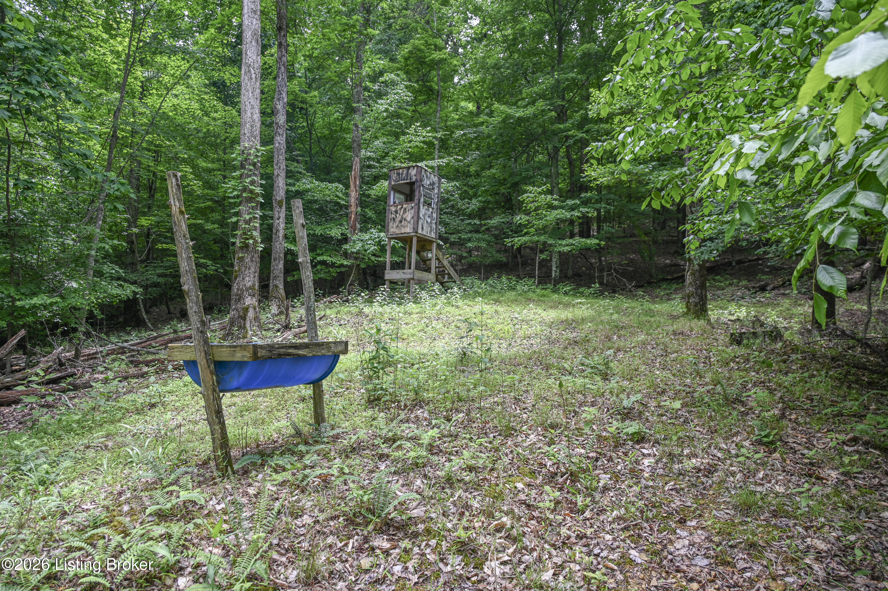4837 Nat Rogers Rd Property Photo 40