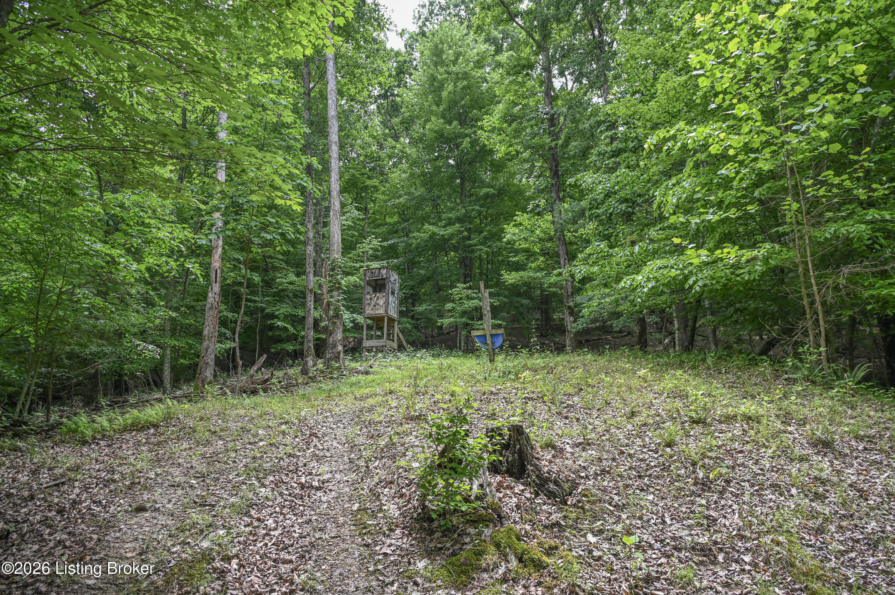 4837 Nat Rogers Rd Property Photo 41