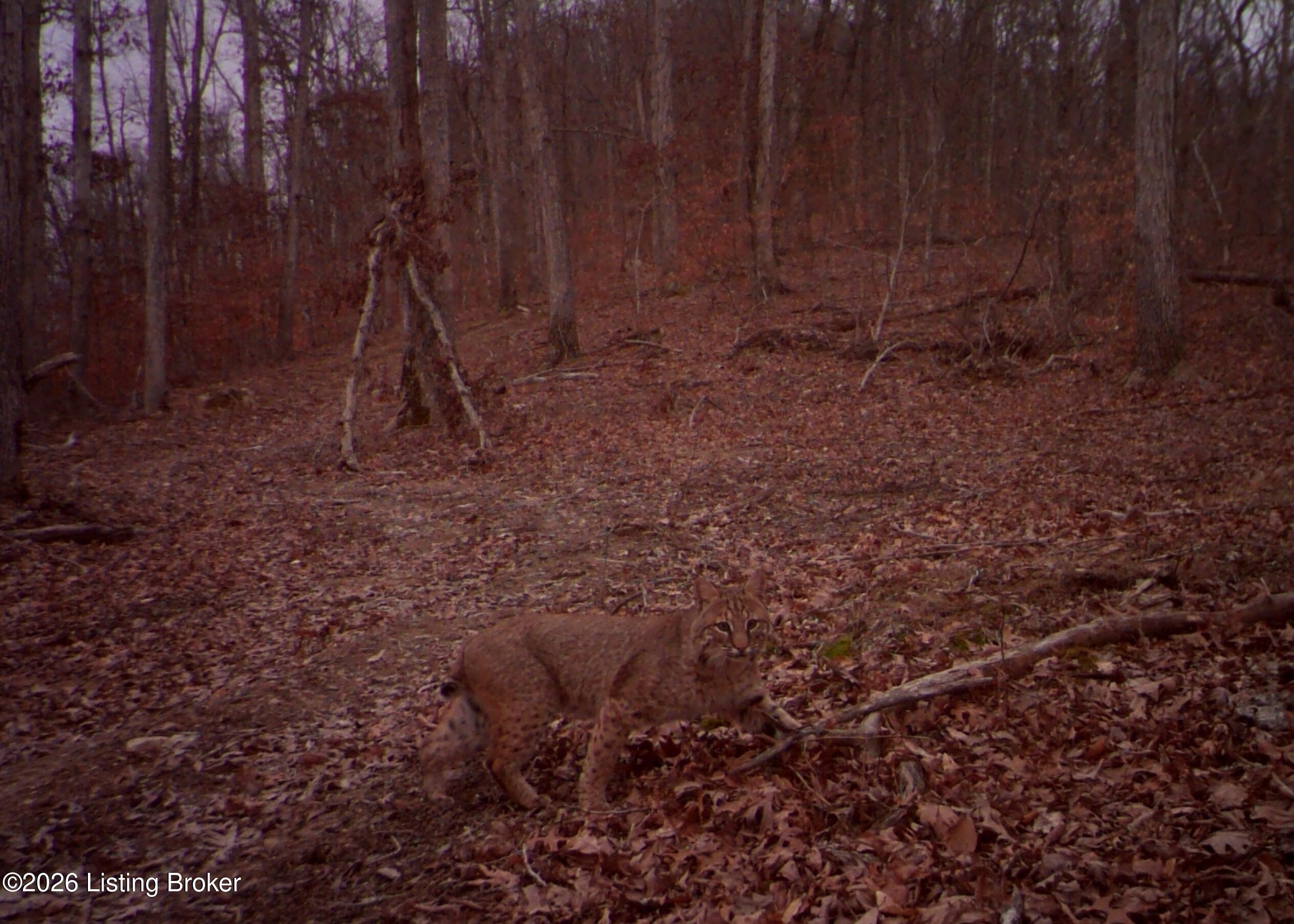 4837 Nat Rogers Rd Property Photo 93