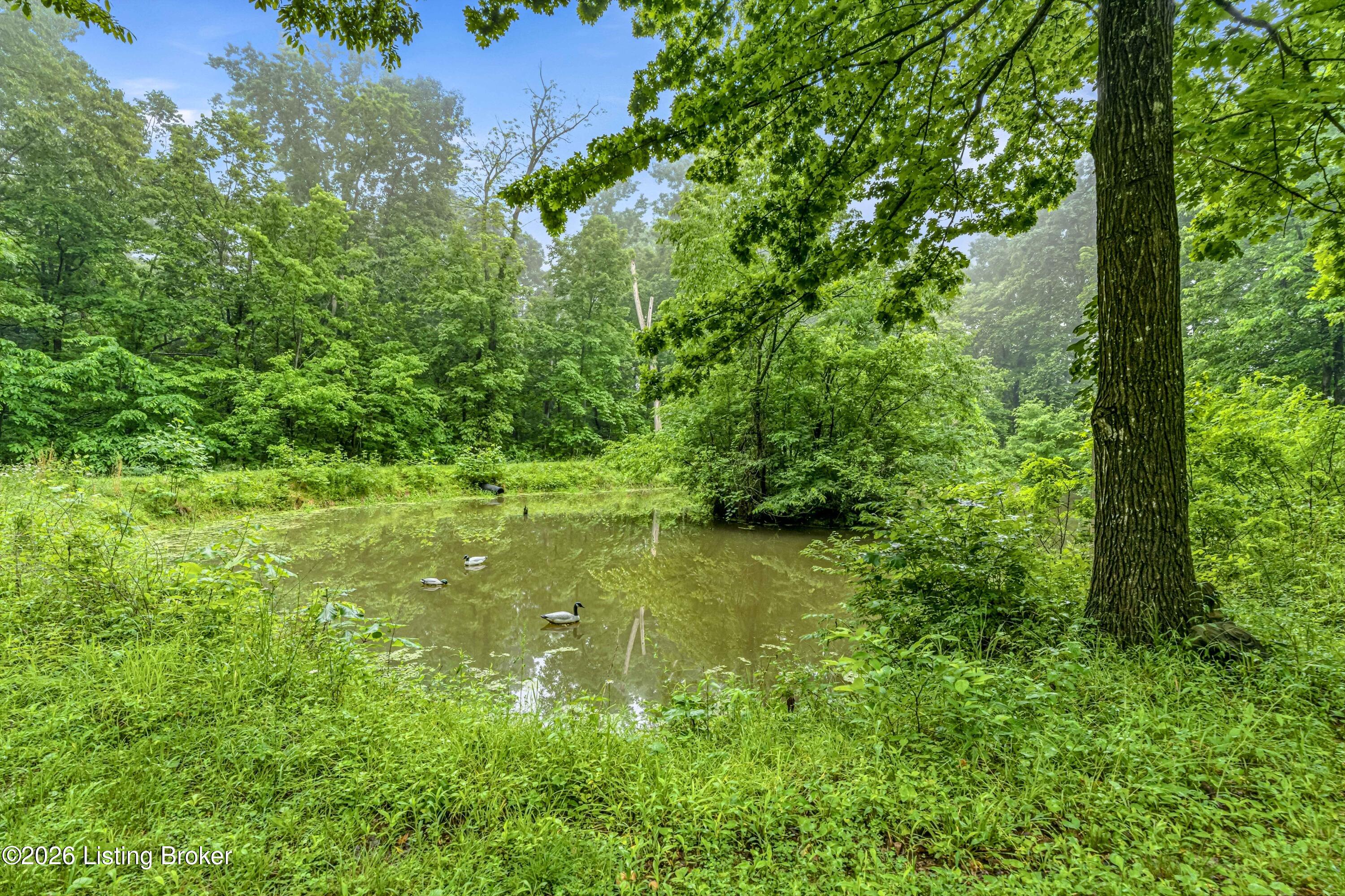 8129 Bagdad Rd Property Photo 27