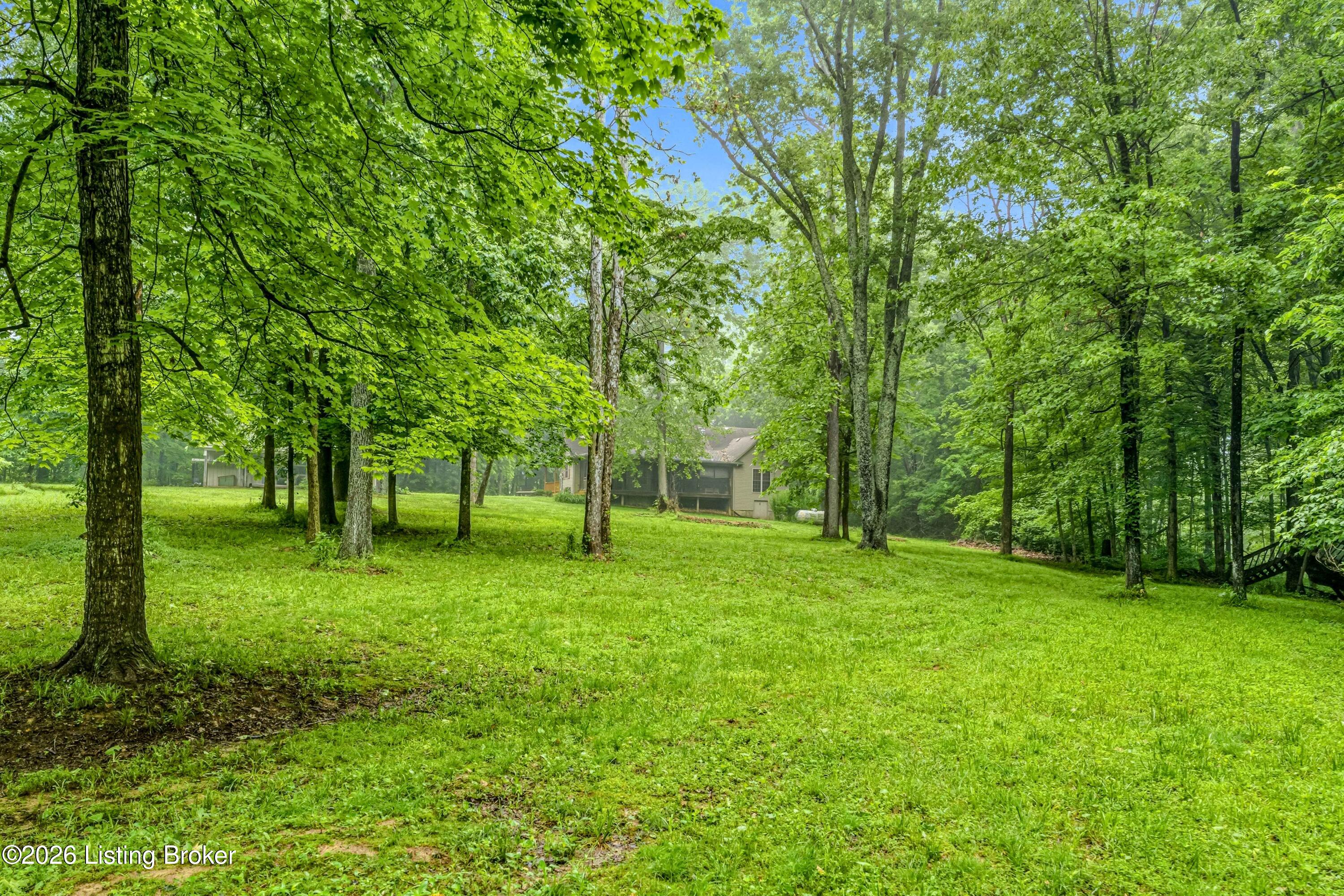 8129 Bagdad Rd Property Photo 28