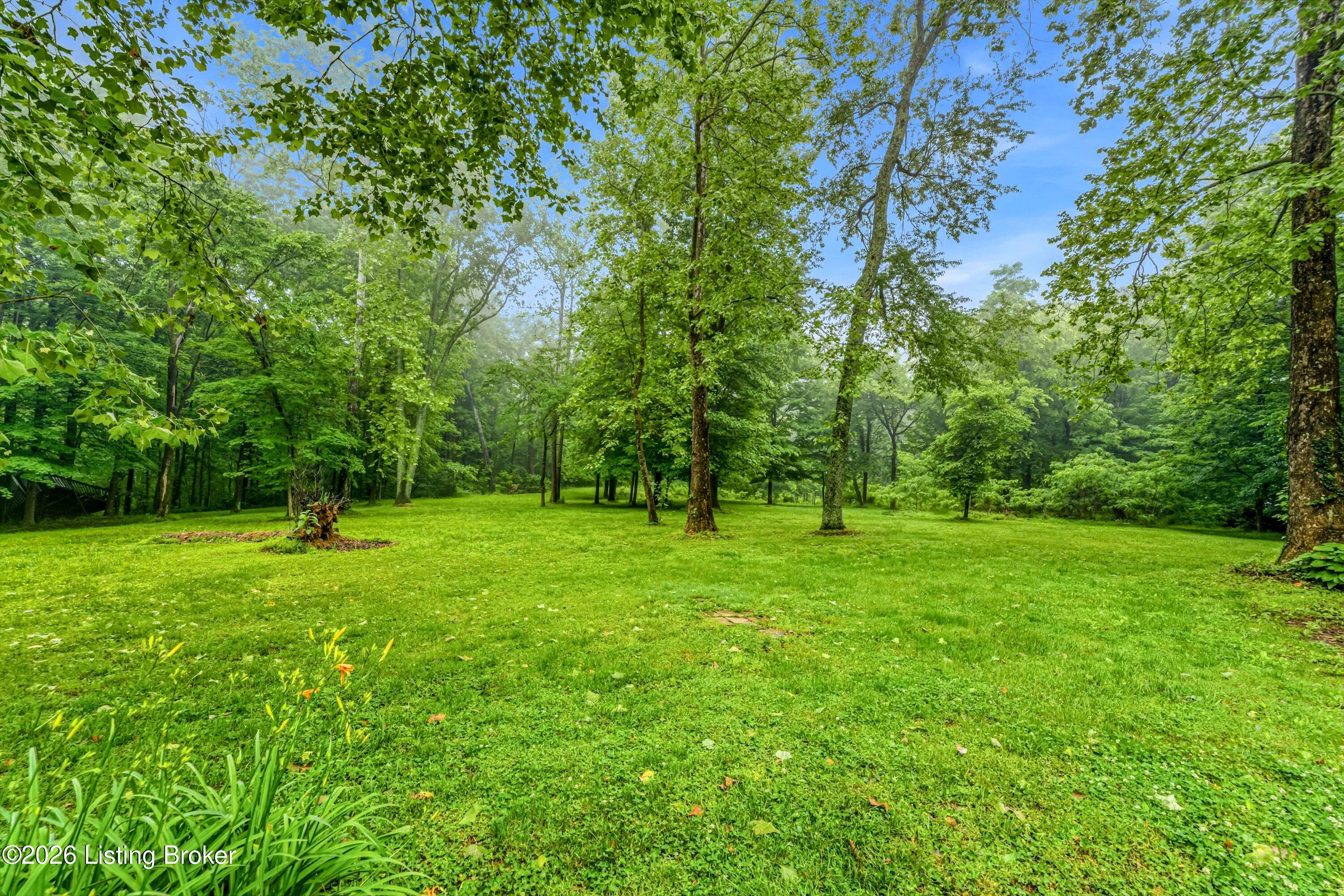 8129 Bagdad Rd Property Photo 31