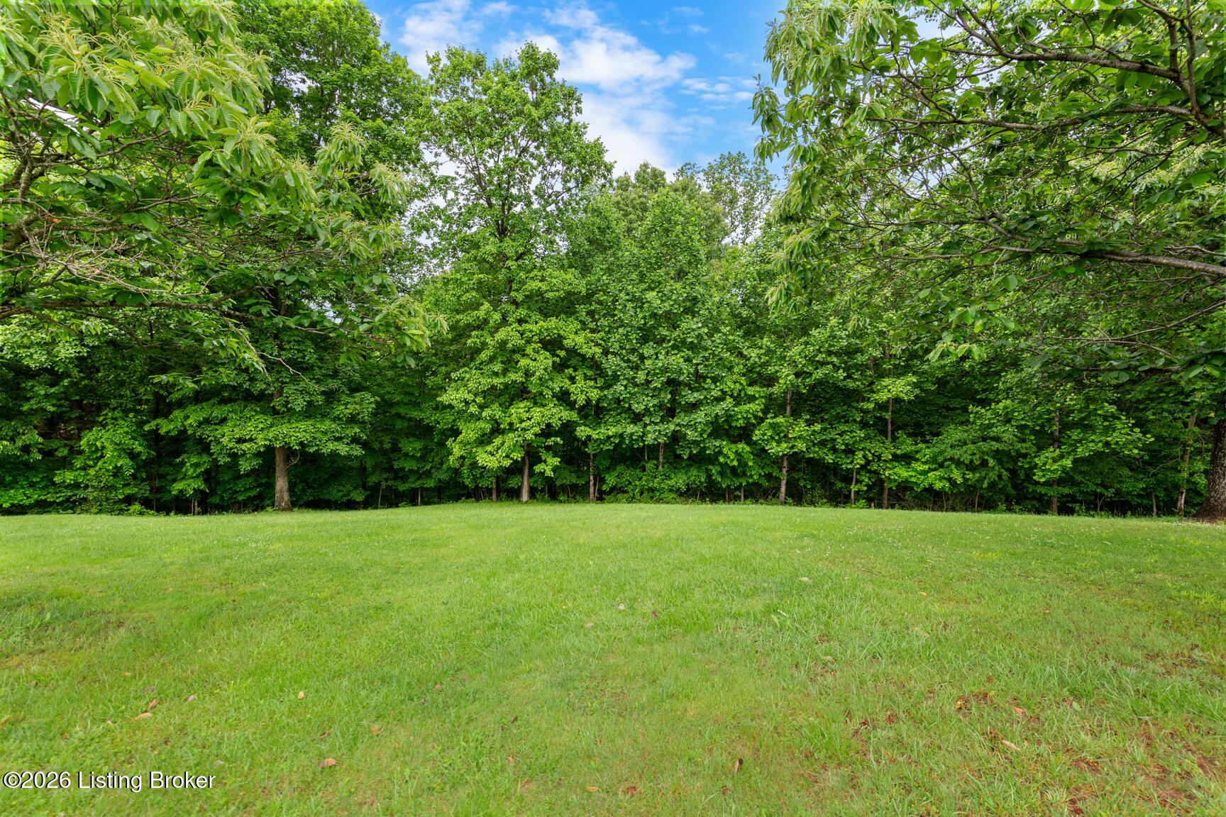 13008 Mitchell Hill Rd Property Photo 15