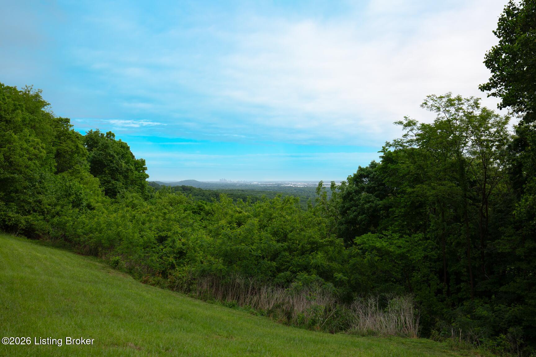 13008 Mitchell Hill Rd Property Photo 22