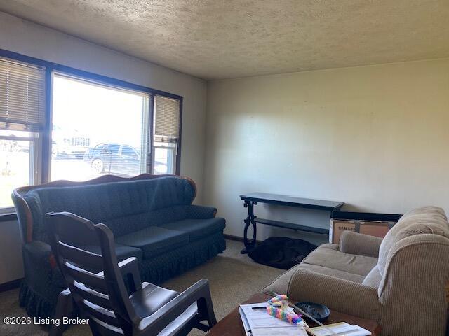 3765 Holy Cross Rd Property Photo 2