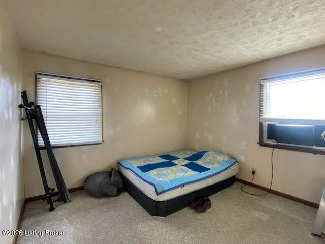 3765 Holy Cross Rd Property Photo 4