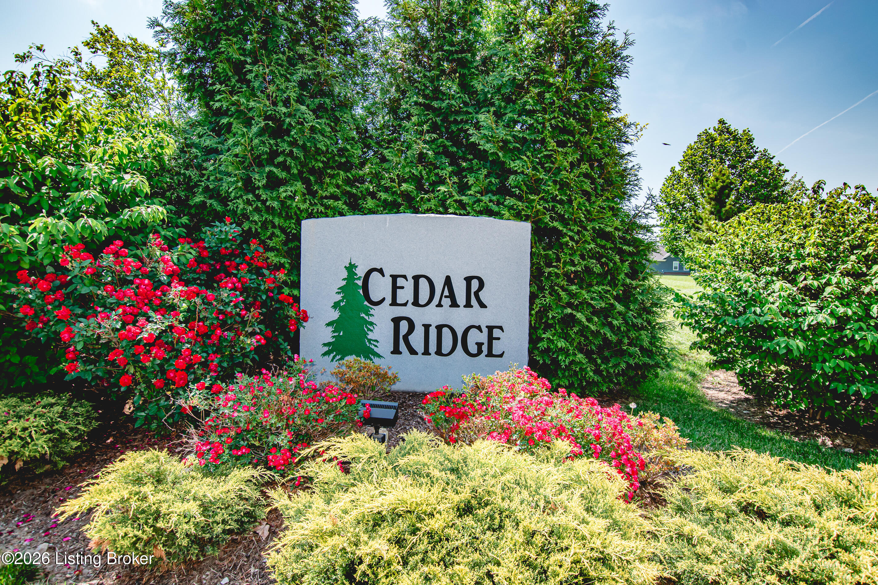 10104 Cedar Garden Dr Property Photo 9
