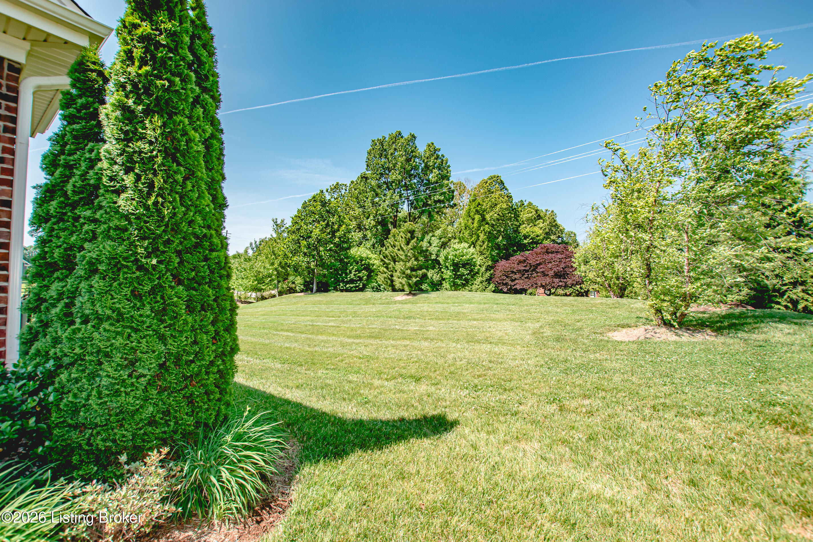 10104 Cedar Garden Dr Property Photo 12