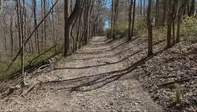 Tract A U.s. 127 Bypass Property Photo 2