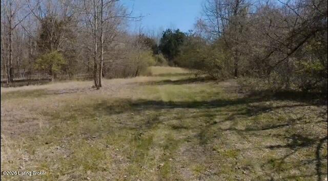 Tract A U.s. 127 Bypass Property Photo 4