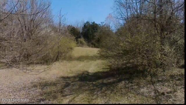Tract A U.s. 127 Bypass Property Photo 5