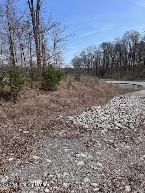 Tract A U.s. 127 Bypass Property Photo 7