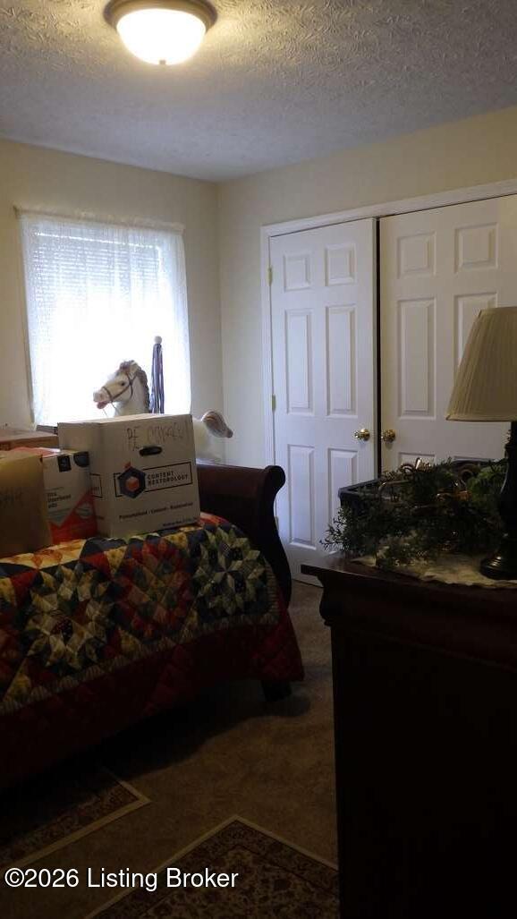 7802 Alfred Schlatter Dr Apt 2 Property Photo 7