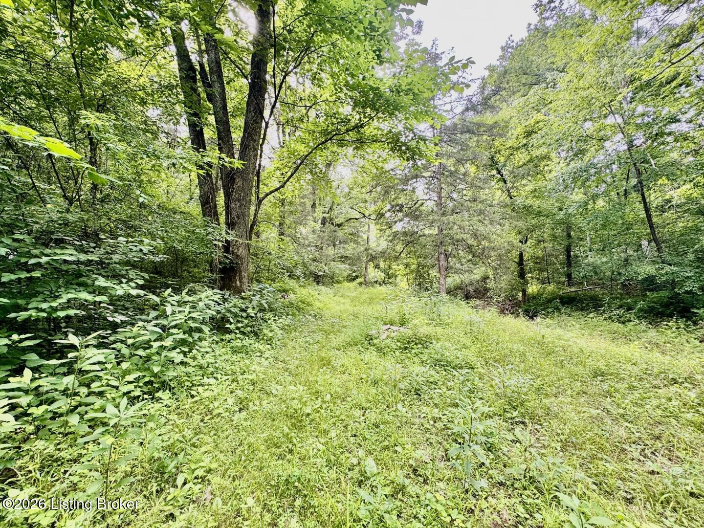 3826-1 Chaplin Rd Property Photo 8