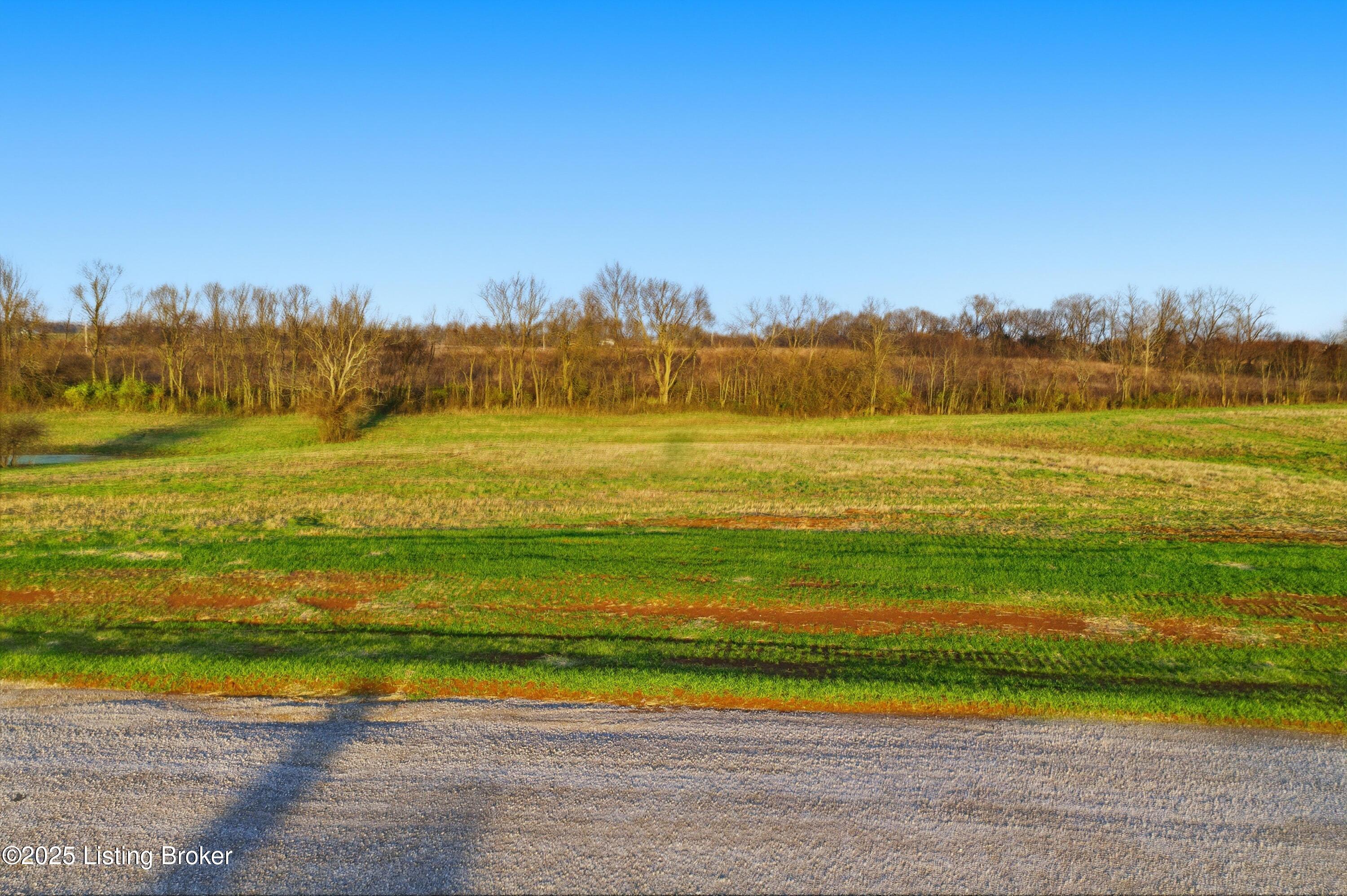 103 Stallard Springs North Property Photo 12